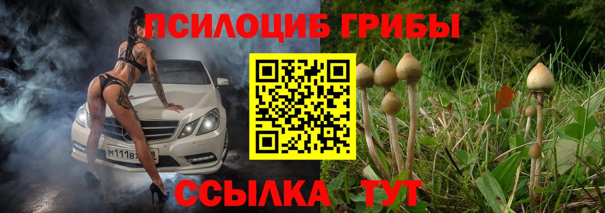 Мурино  Псилоцибиновые грибы прущие грибы  купить закладку  Вход с VPN 