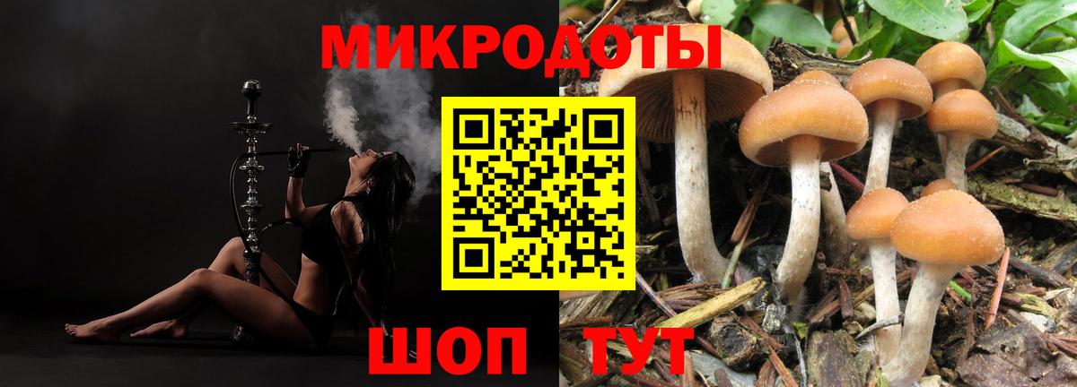 Галлюциногенные грибы мицелий Мурино